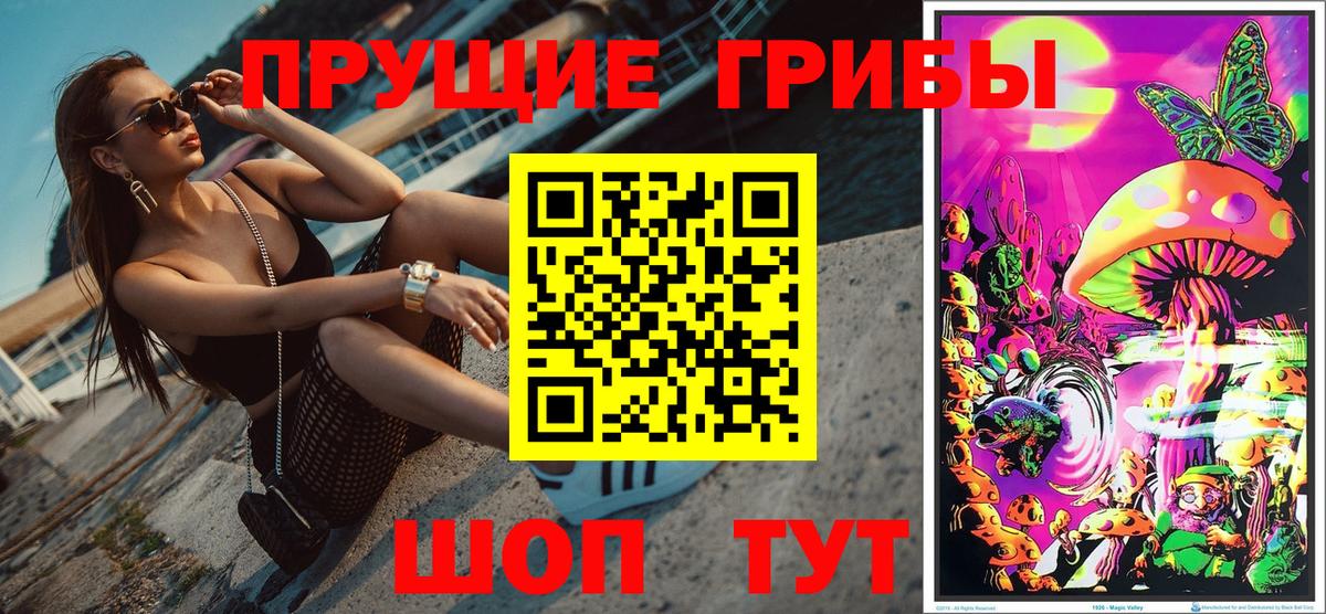 Владимир  Псилоцибиновые грибы Psilocybine cubensis  Вход с VPN 